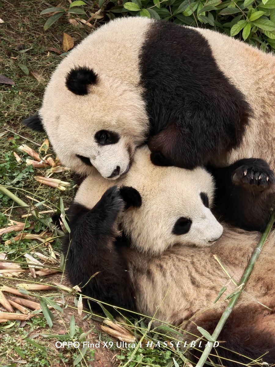 Tech Home  tweet media