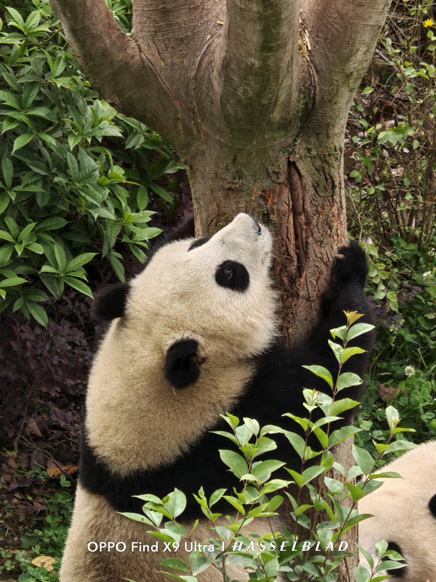 Tech Home  tweet media