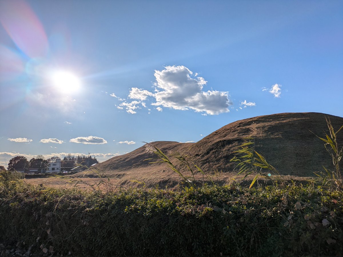 Бедный взрослый ребенок tweet media