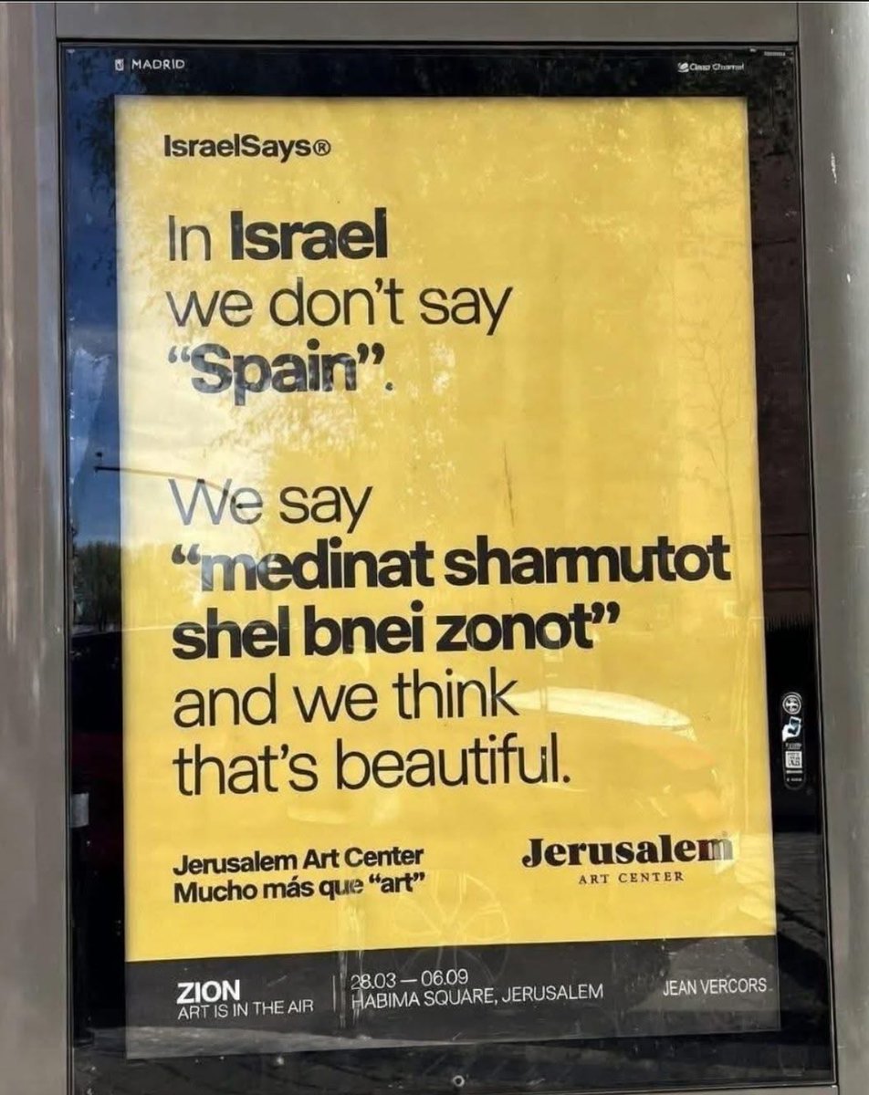 Sofia Afonso Ferreira tweet media