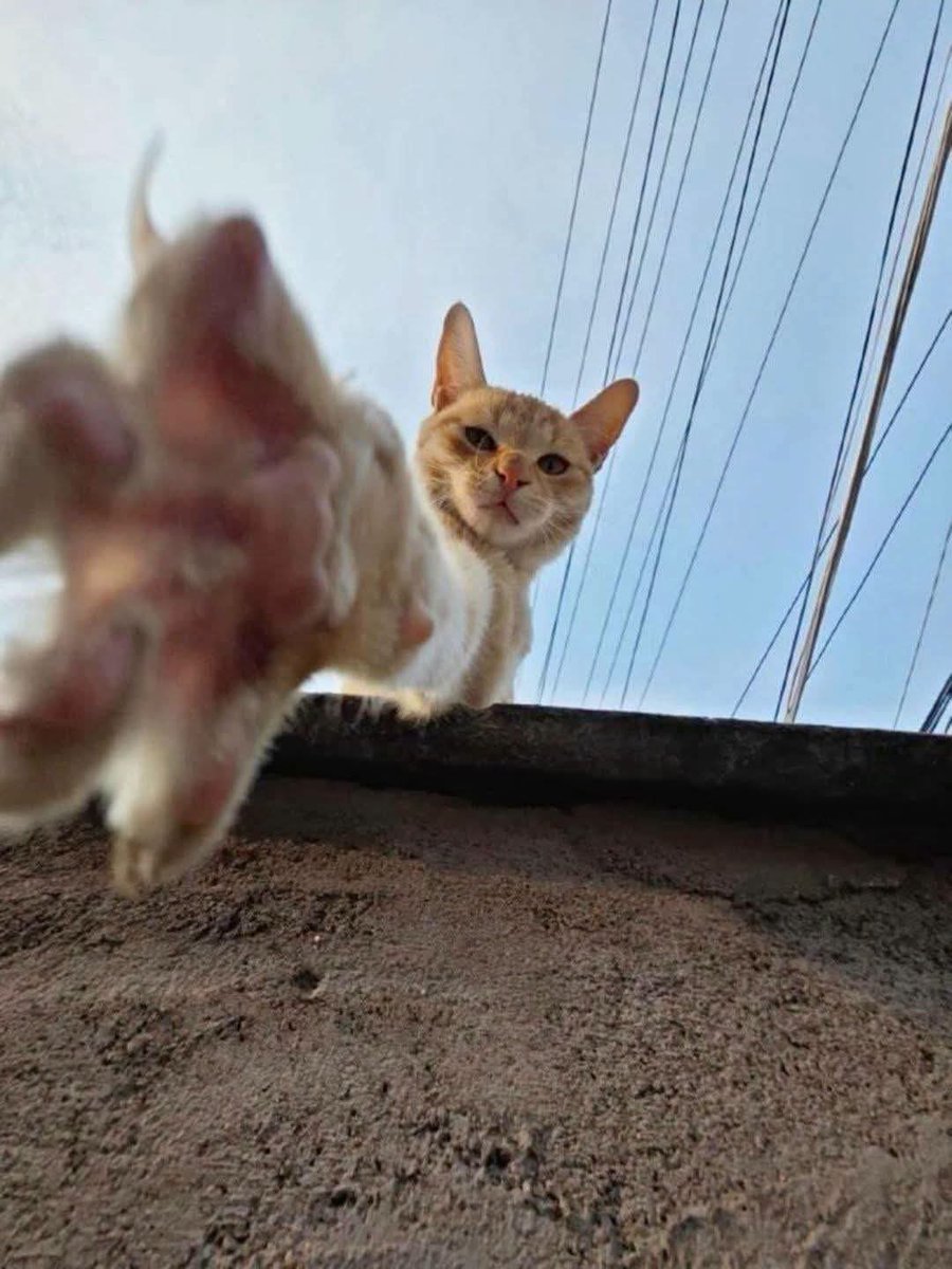 𝘿𝙤𝙪𝙗𝙡𝙚 tweet media