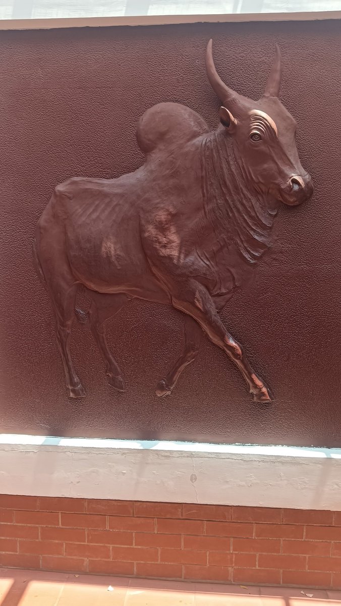 MadrasWalker's tweet photo. தமிழ் இலக்கியமும், வரலாறும் ஒன்று சேரும் ஒரு இடம் #கீழடி  #walkerclicks https://t.co/pvp7bZYIG7