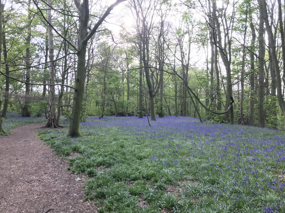 BBCRadioStoke's tweet image. The weather for #Staffordshire and #Cheshire. A fine and dry day with plenty of sunshine and gentle winds. Highs of 13C.