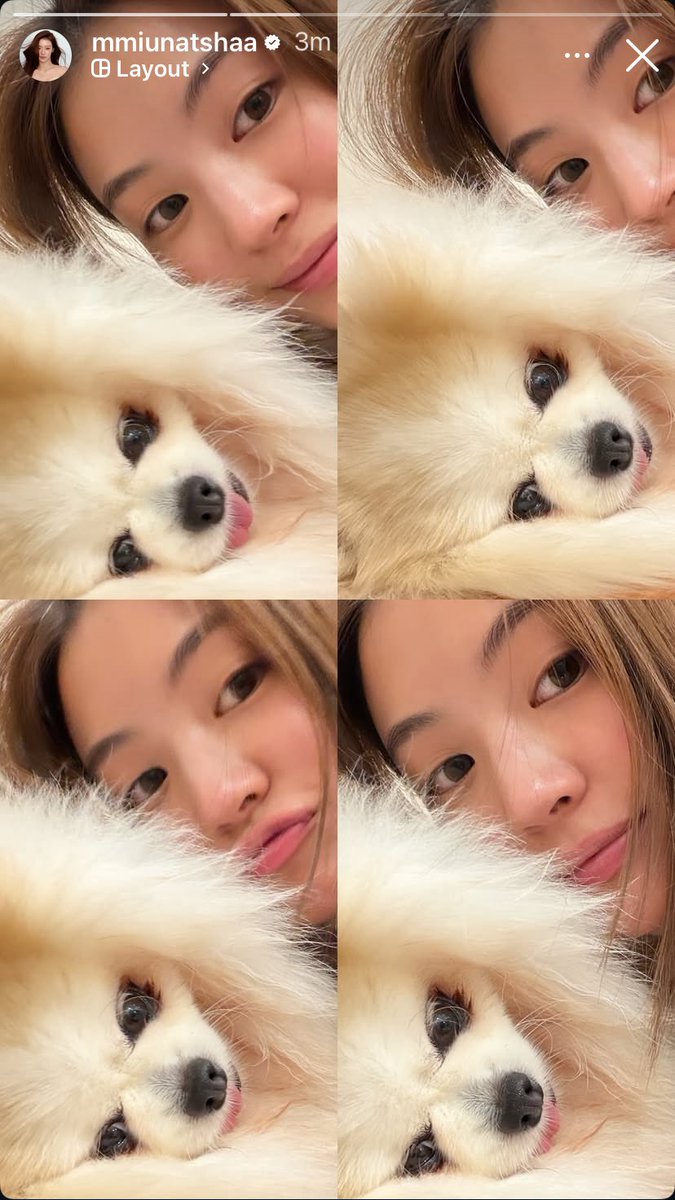 🐣 Sunnie 𐀑ﾟ tweet media