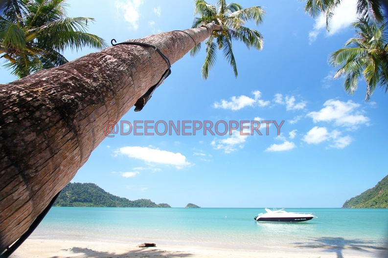 DeeOneKC's tweet photo. Private 3BR pool villa on Koh Chang's North West Coast
🔥 18M THB

• 80m from a secluded beach
• 🏊 50 sqm pool + sala
• 🌅 Sea view from the master suite
• 🛋 Fully furnished https://t.co/eZXkm7YxYn