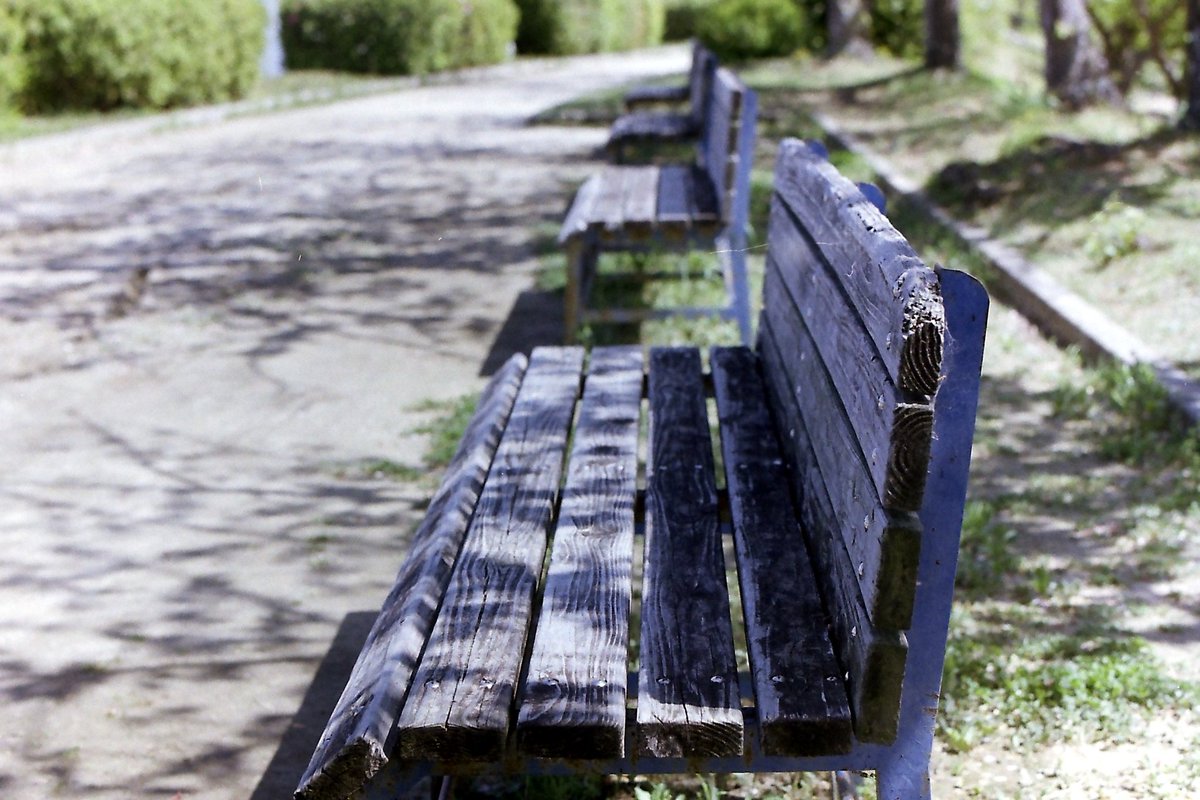 wao_camera's tweet image. 春はフィルムがいいのよ

minolta SRT SUPER
AUTO ROKKOR-PF 55mmf1.8
Kodak GOLD 200
#film
#minolta