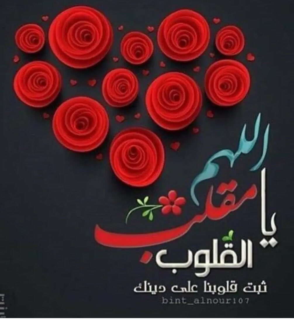 أ/ عائشة شمس الدين tweet media