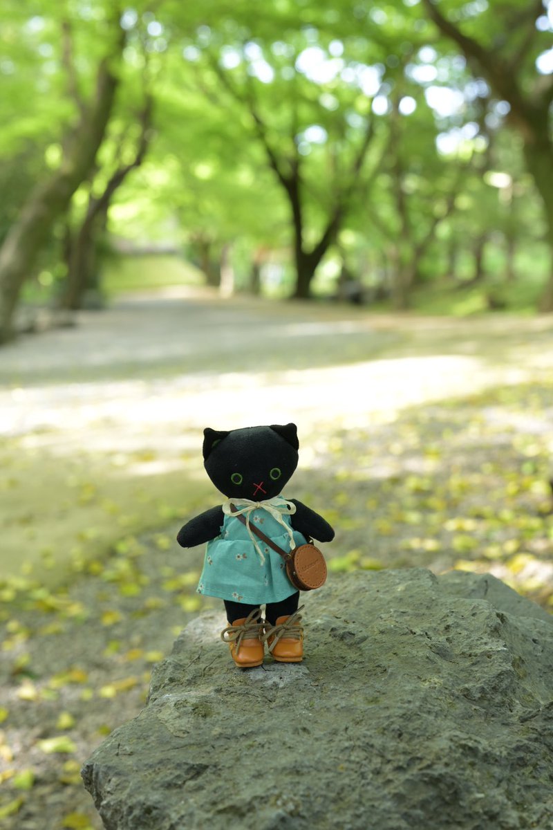 くらはしれい tweet media