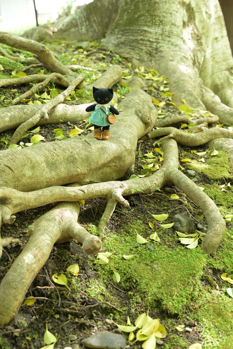 くらはしれい tweet media