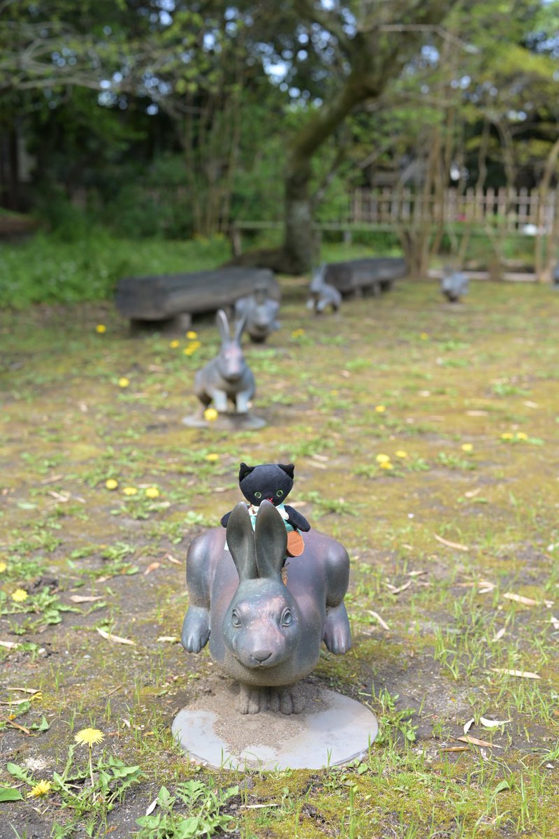 くらはしれい tweet media