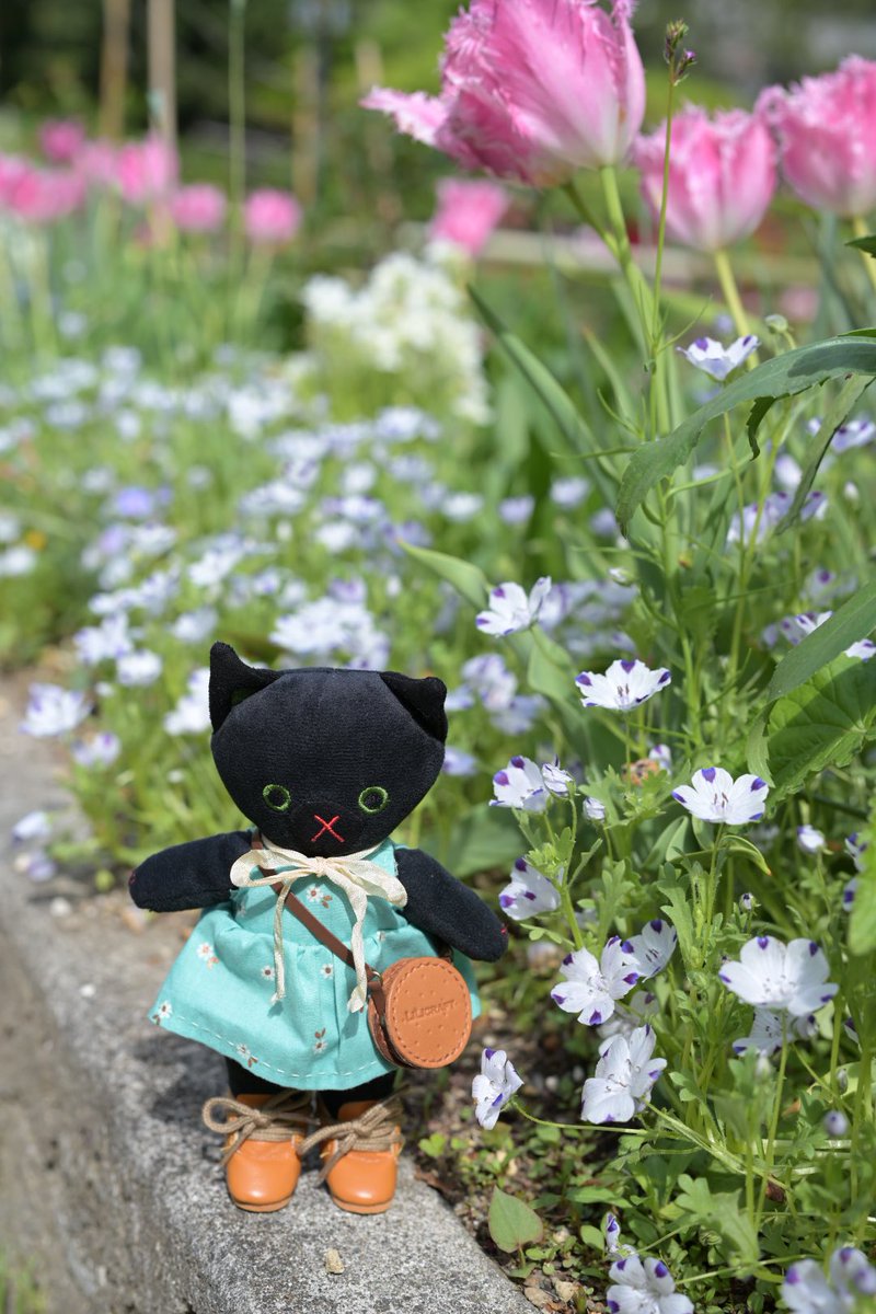 くらはしれい tweet media