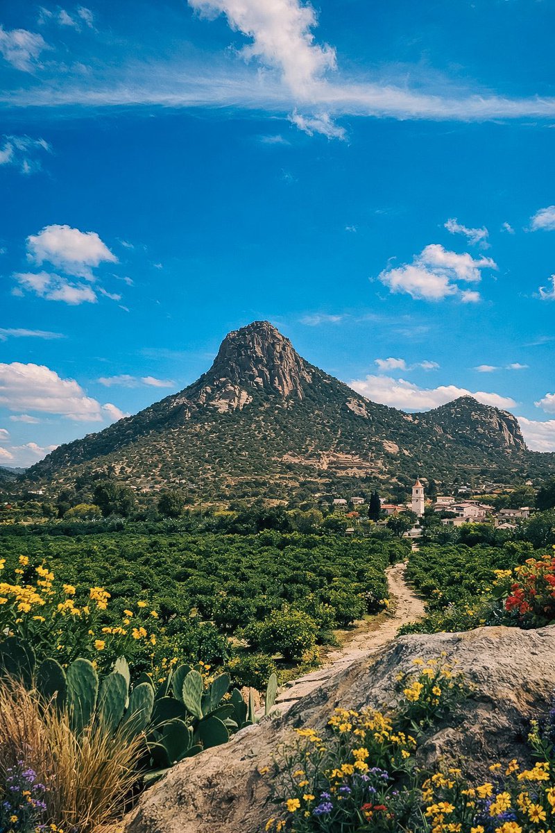 TSP جيوغرافيك tweet media