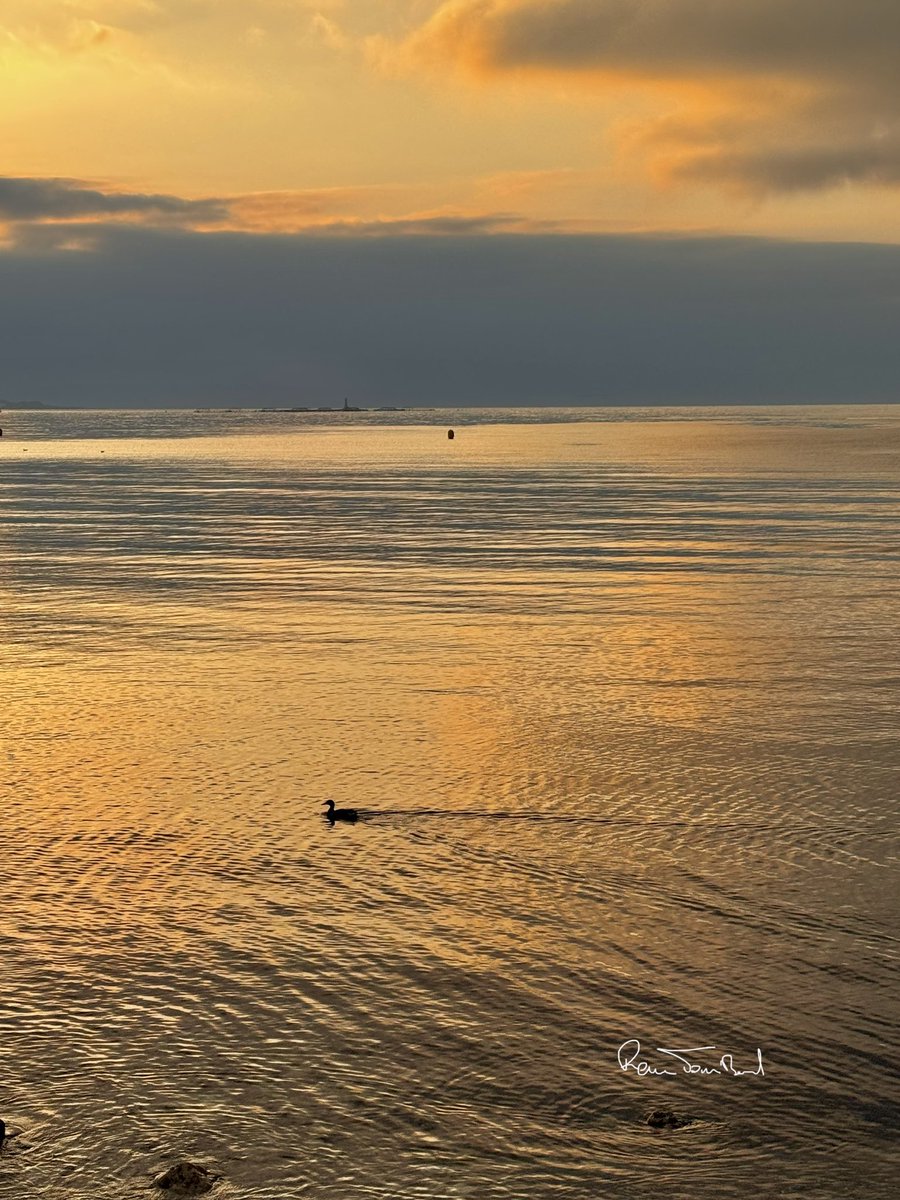 ReneTombarel's tweet image. Les variations de couleurs au lever du soleil ce mardi #cannes #CotedAzurFrance