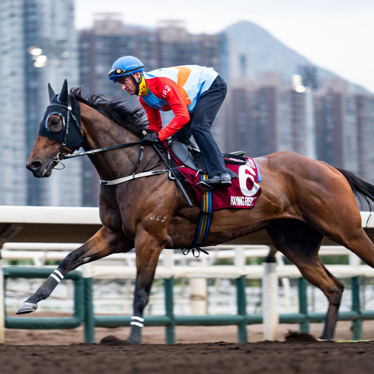 World Pool tweet media