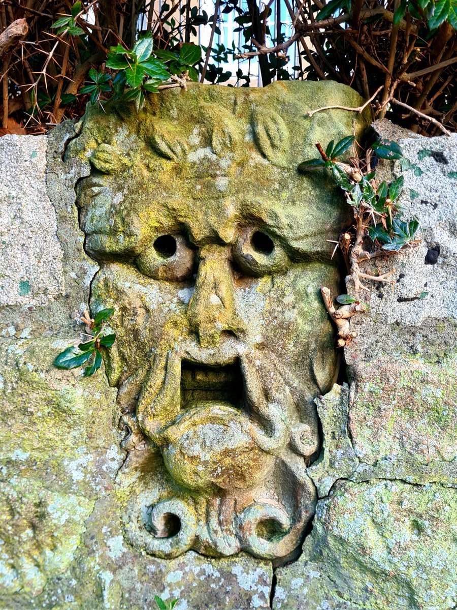 is_glasgow's tweet image. This rather brilliant grotesque is set into a wall in front of the former Superintendent's House in Overtoun Park in Rutherglen, just to the south of Glasgow. 

Cont./

#glasgow #sculpture #architecture #grotesque #rutherglen