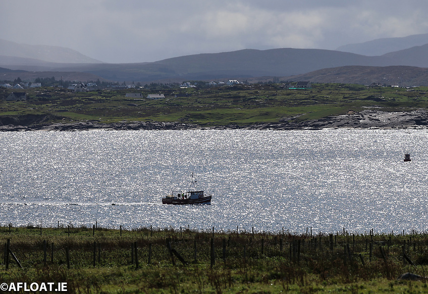 AfloatMagazine's tweet image. Impact of Climate Change On Fish Stocks To Be Discussed By Oireachtas Committee afloat.ie/resources/news… #ClimateChange #FishStocks #Sustainability #Oireachtas #MarineConservation