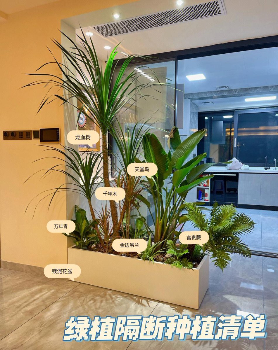 JDeniz07's tweet image. " 3 Quick Green Tips for Thriving Plants!  1. Water when soil feels dry (no soggy roots!)  2. Rotate weekly for even sunlight  3. Dust leaves to help them breathe  Your green friends will thank you   #PlantParentLife #GreenLiving"