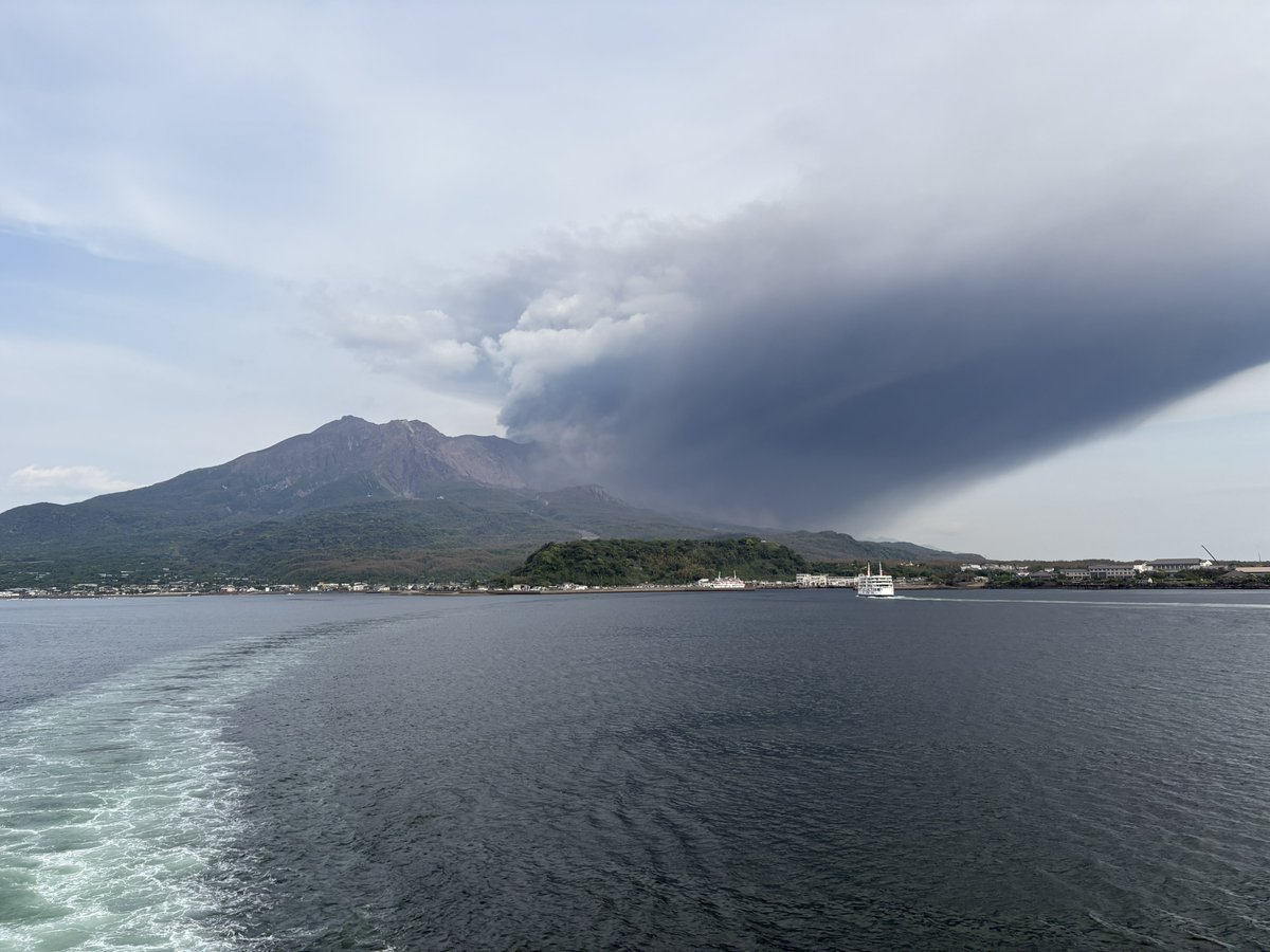 ﾓｸｾｪｪ tweet media