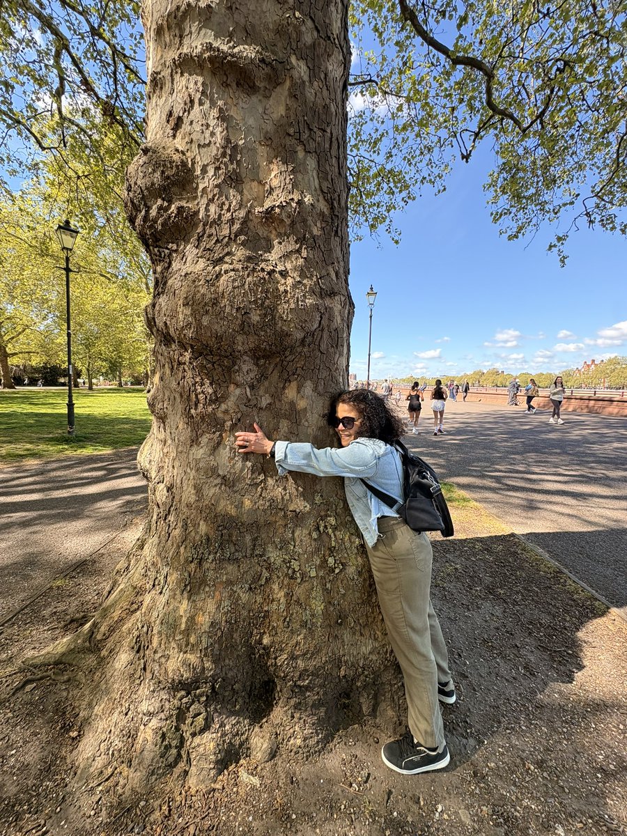 barbosavl's tweet image. Good morning with my tree-hugging  moment at Battersea Park on Sunday for #ThickTrunkTuesday 
The London plane tree is a hybrid first discovered in London in 1645, where it became popular for its ability to withstand air pollution and drought
#trees #parks #London #BatterseaPark
