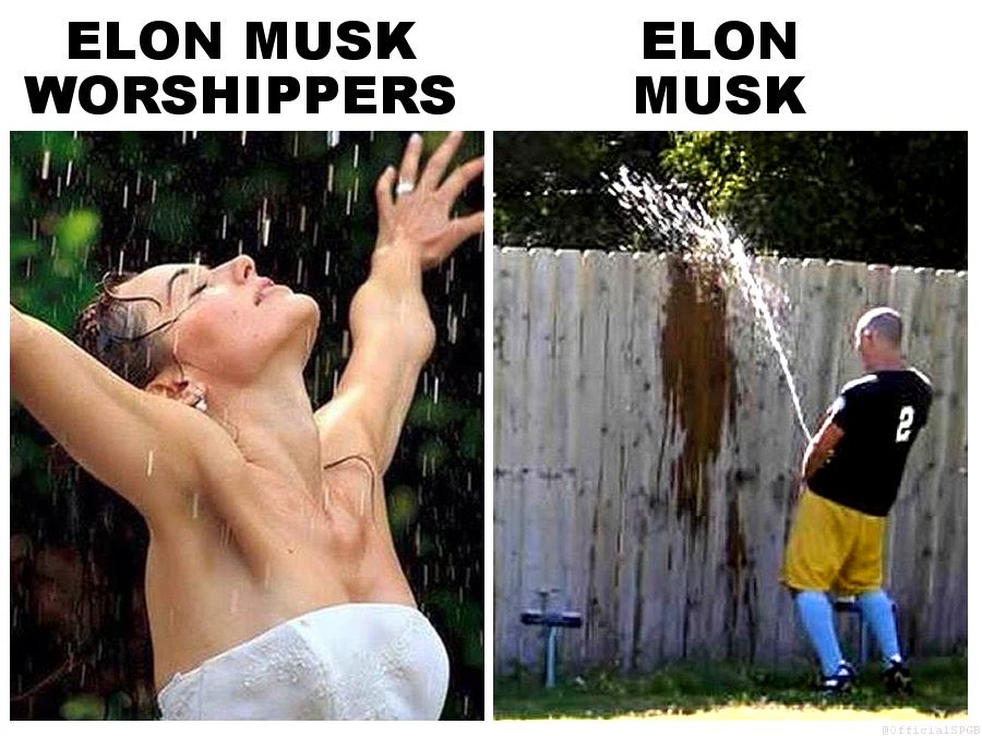 😂 #clustermusk 🤣 tweet media