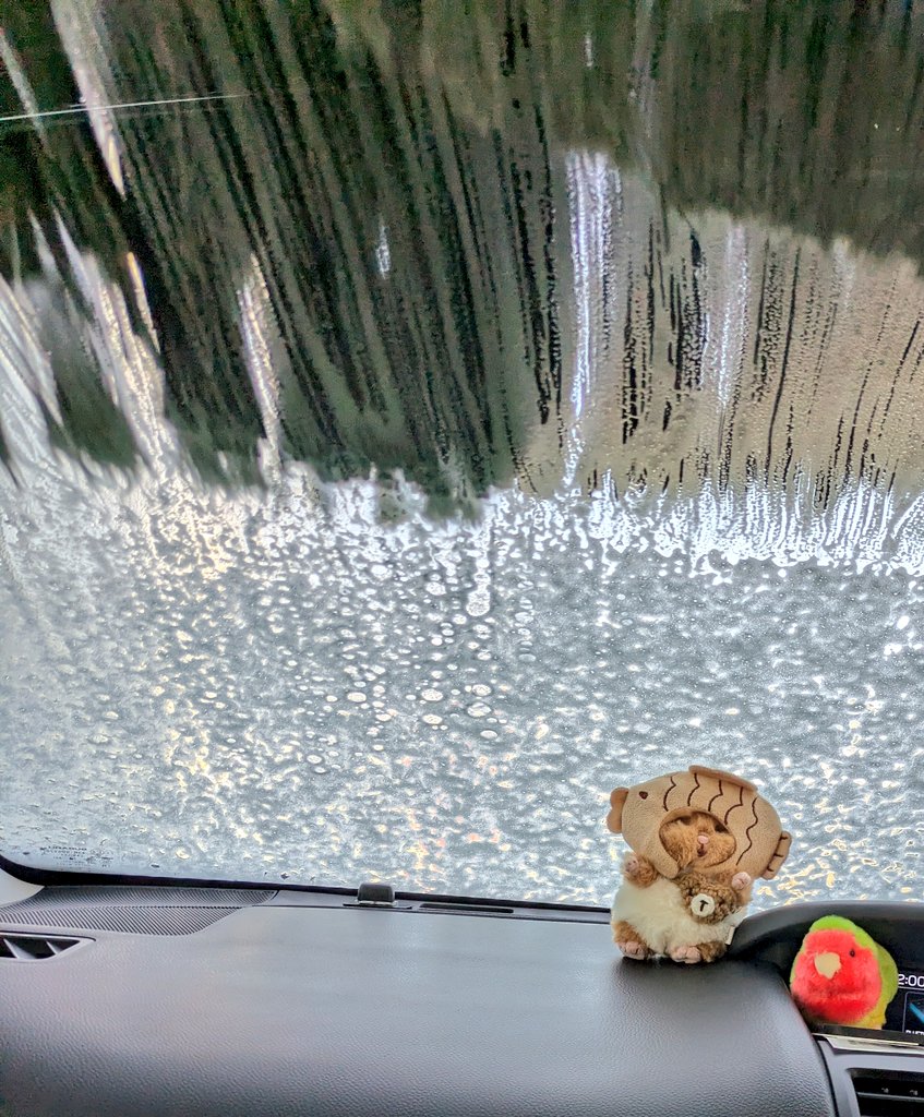 🍋はぴ🐻‍❄️𓈒 𓂂𓏸🧁 tweet media