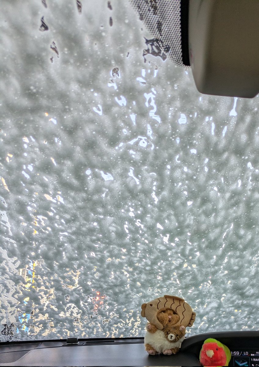 🍋はぴ🐻‍❄️𓈒 𓂂𓏸🧁 tweet media