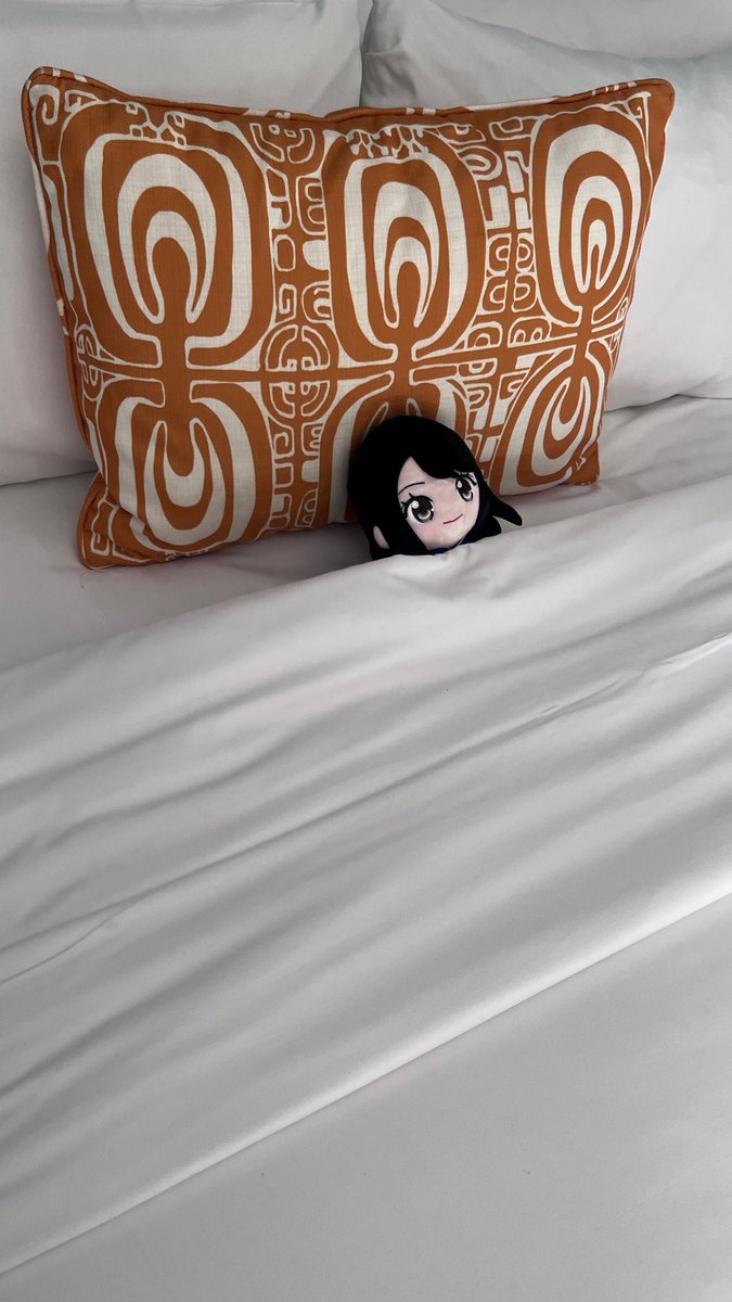 セータロー∬∽＊🎧民(せいや) tweet media