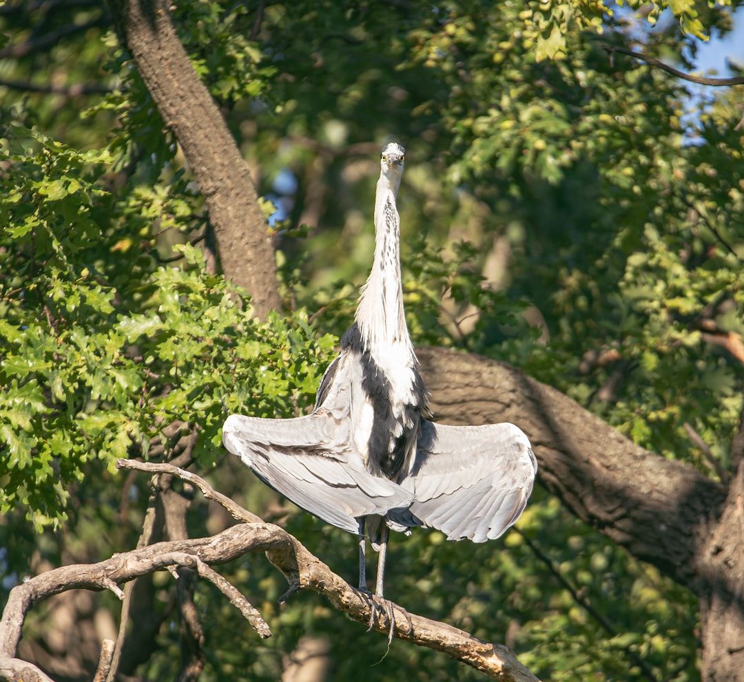 ai_photo_boke's tweet image. ご覧の通り、私の8割は「廊下」です。

#写真で一言 #AI大喜利 #シュール #ボケて #大喜利 #笑ったらRT #お笑い