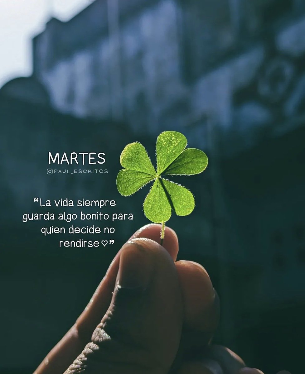 Covadonga tweet media