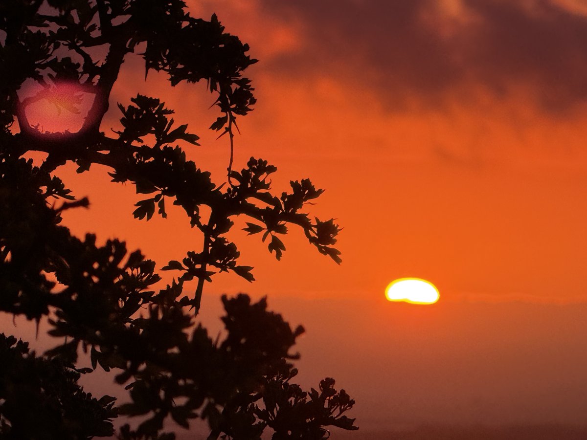 SavetheHellfire's tweet image. "Truly, were I every evening to depict sunrise, and every morning to see it, still I should cry, like the children, Once more, once more!"
Jean Paul Friedrich Richter
#Hellfire #sunrise #goodmorning #Dublin #Ireland