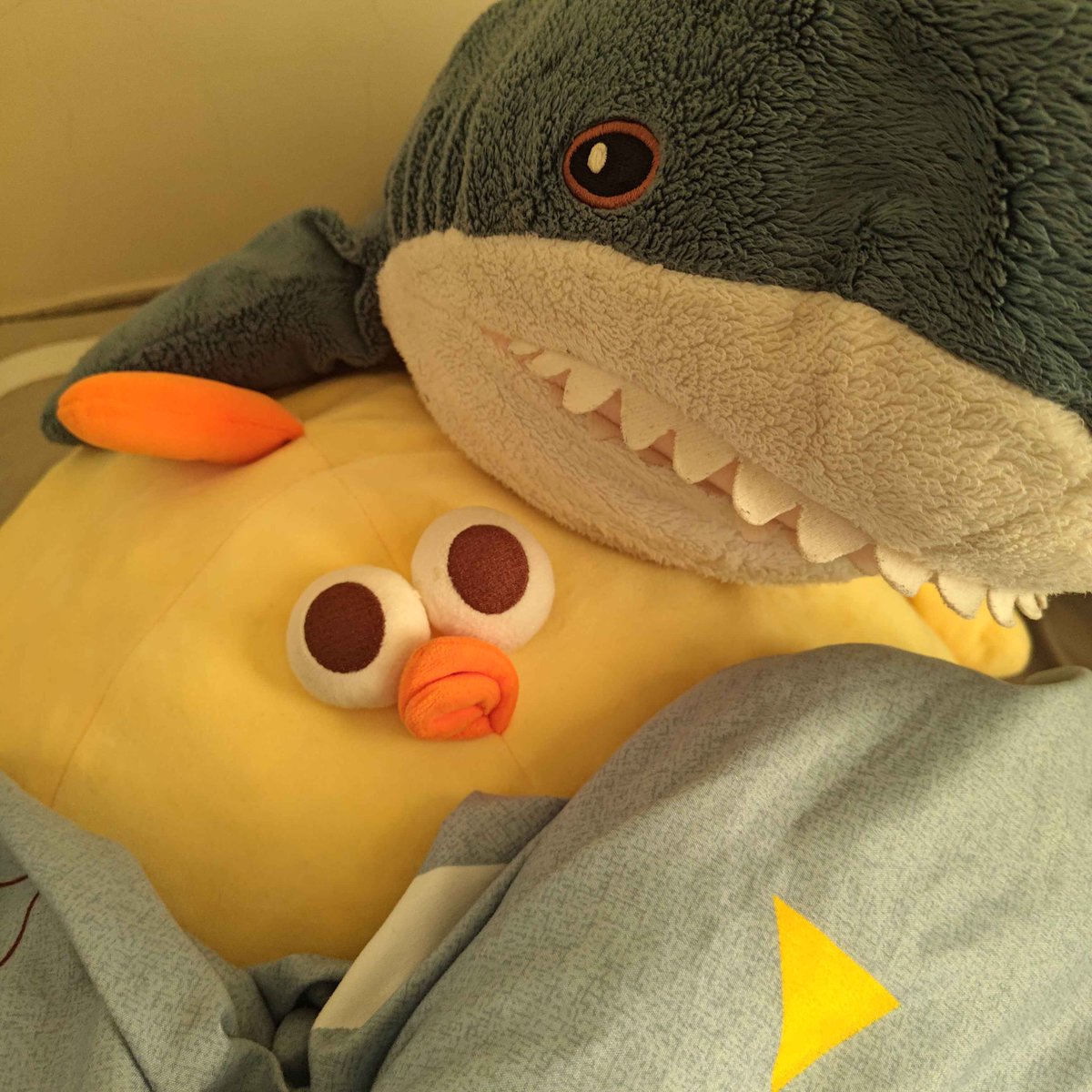 Hunter Milo【新帳號】 tweet media