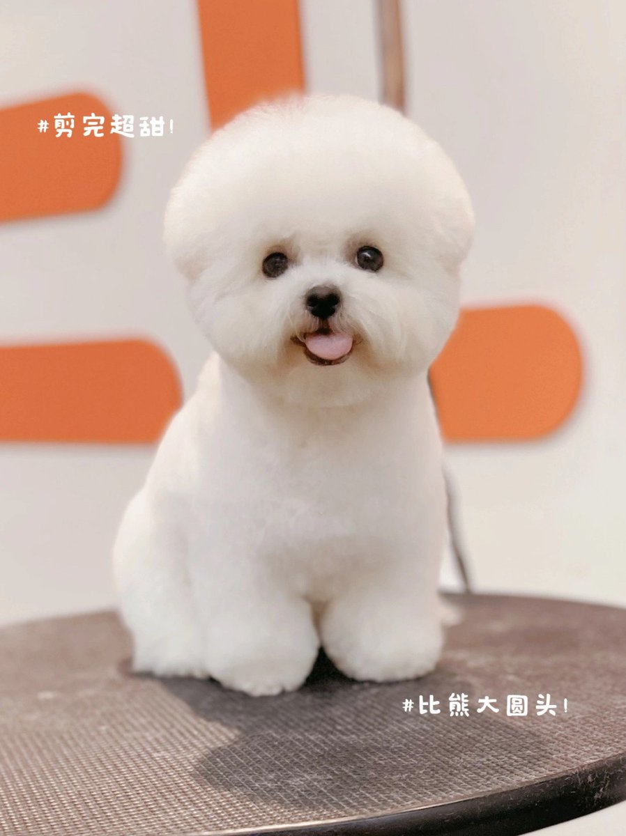 さきとも tweet media