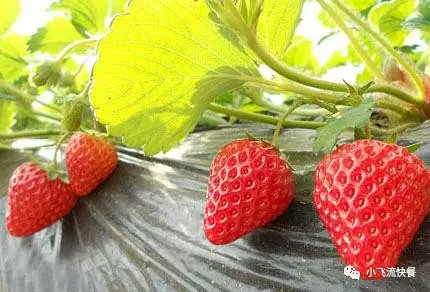 marcomoraa tweet media