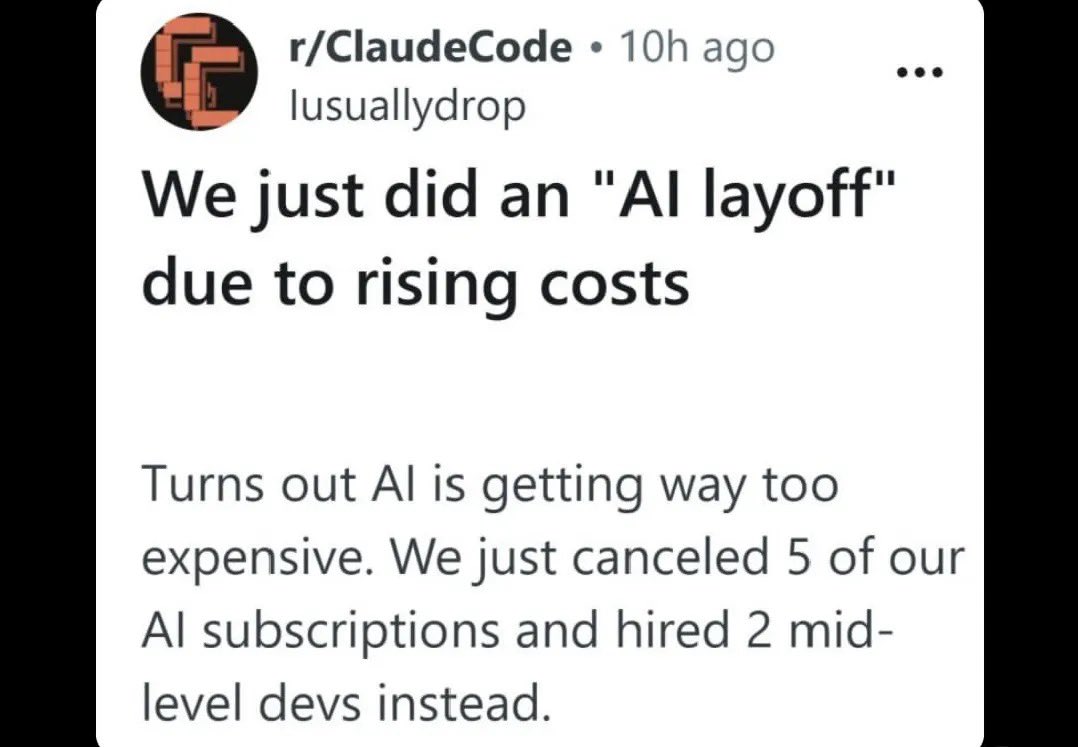 NZ ☄️ tweet media