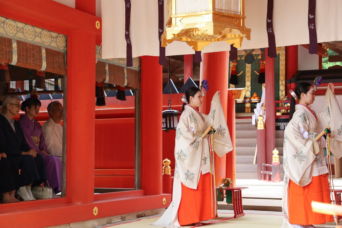 春日大社 kasugataisha shrine tweet media