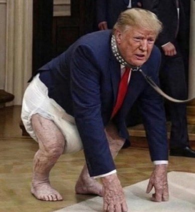 Ronin11235100's tweet image. You cannot make sense of a DERANGED, DEMENTED, DIAPER wearing TRUMPANZEE. #3D