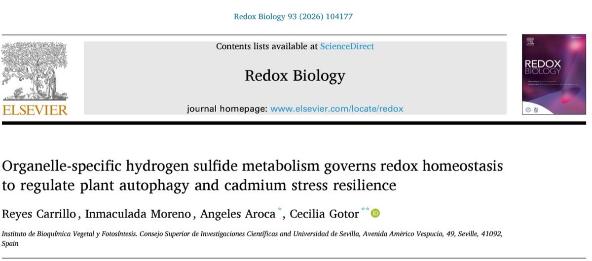 Angeles Aroca tweet media