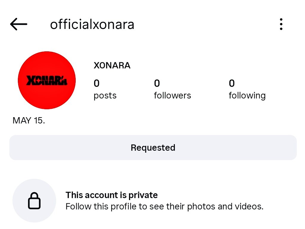 xo, elle tweet media