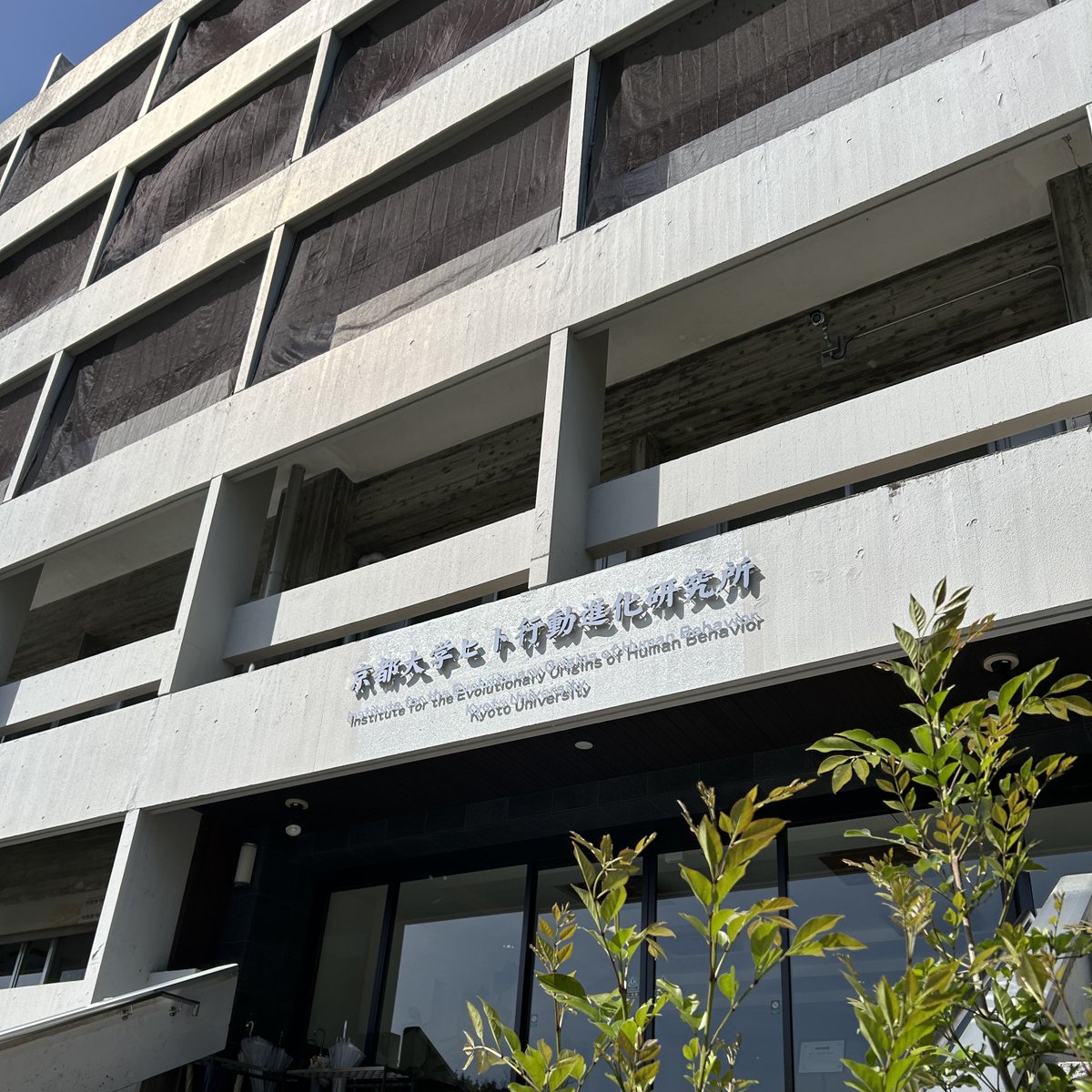 京都大学ヒト行動進化研究所 tweet media