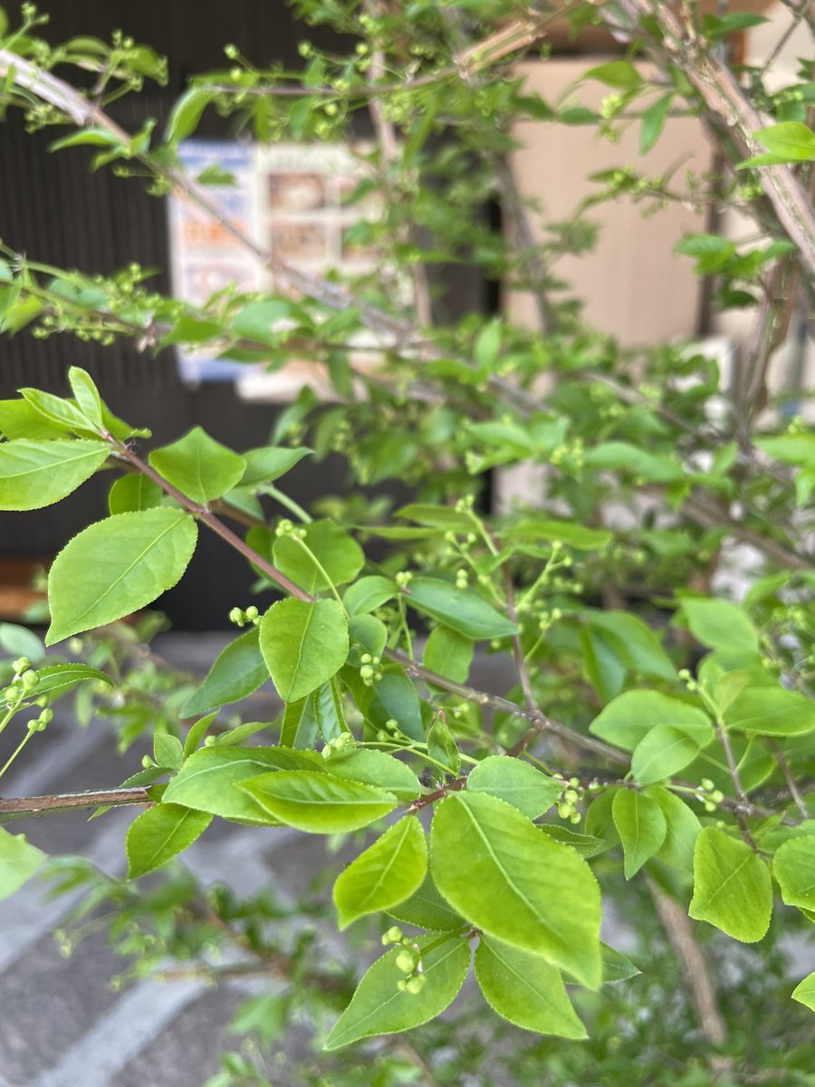 ２連休ありがとうございました
今週もよろしくお願いします🌿🕊️✨