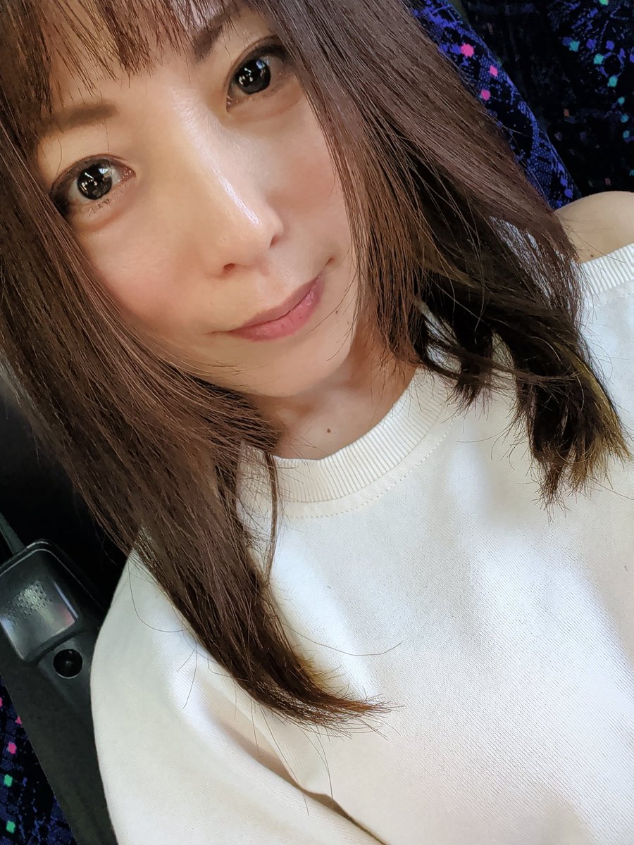 尾山ねこ tweet media