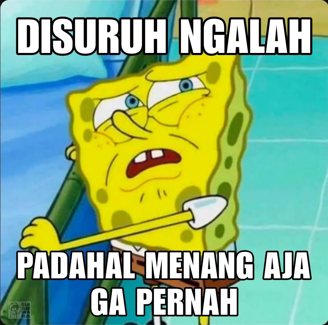 bia tweet media