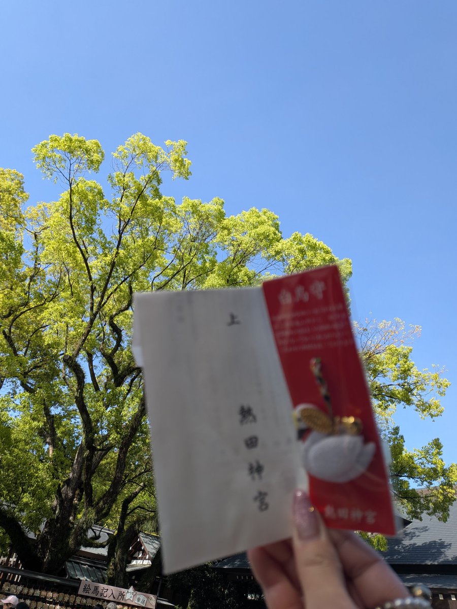 730nozomuwest's tweet image. PARCO&amp;amp;大阪行かせて頂きます😭神様、小瀧望様、観劇のご縁ありがとうございます😭

名古屋遠征中なので、熱田神宮様に行ってきました⛩️パワースポット大楠🌳

豊川稲荷様も叶えて下さりありがとうございます😭

#うま
#小瀧望