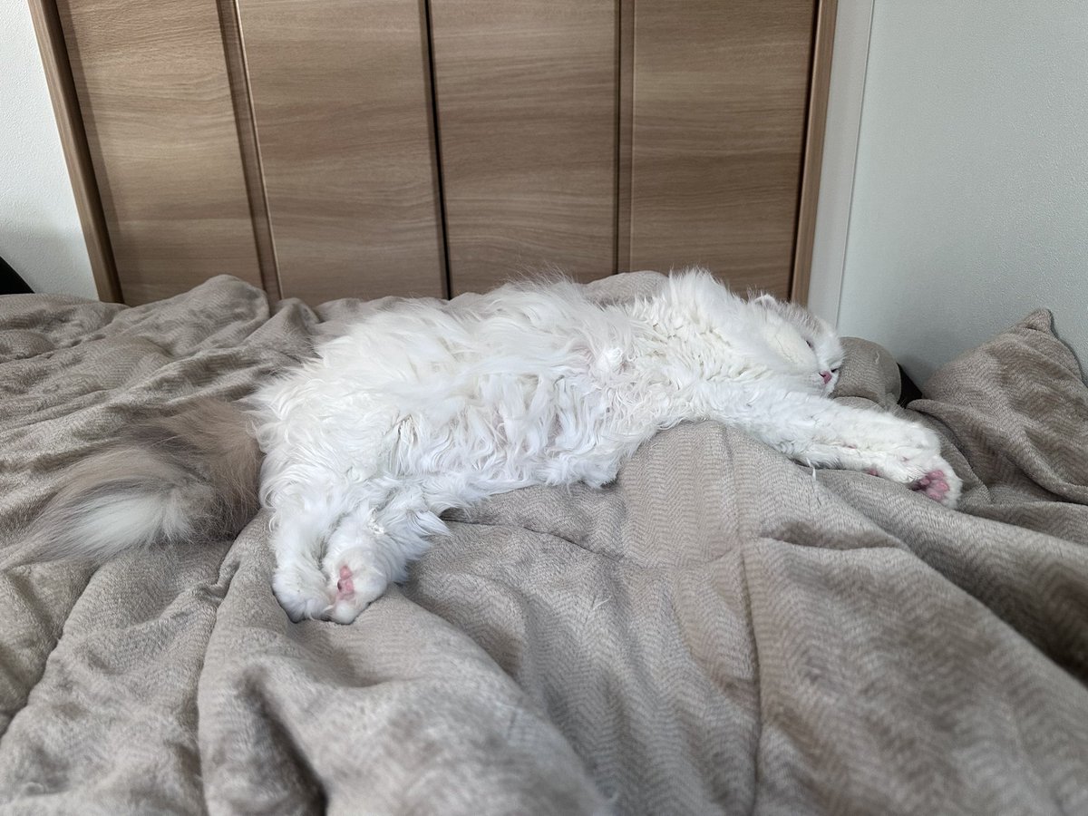 ｆｕｕ_ｃｈｉｒｏｒｕ tweet media