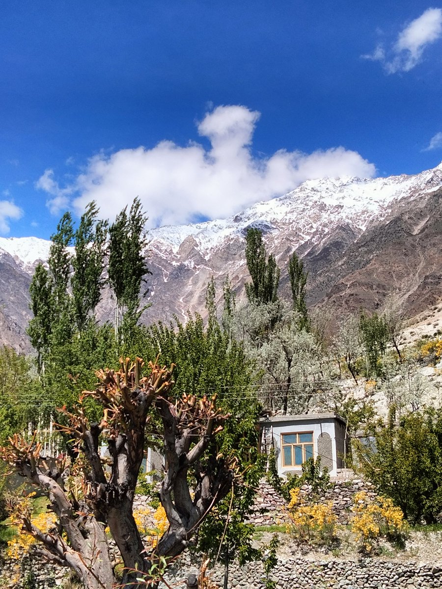 MananHnz's tweet image. Nature this raw deserves a little passion .

Nasirabad shinaki #HUNZA #GilgitBaltistan