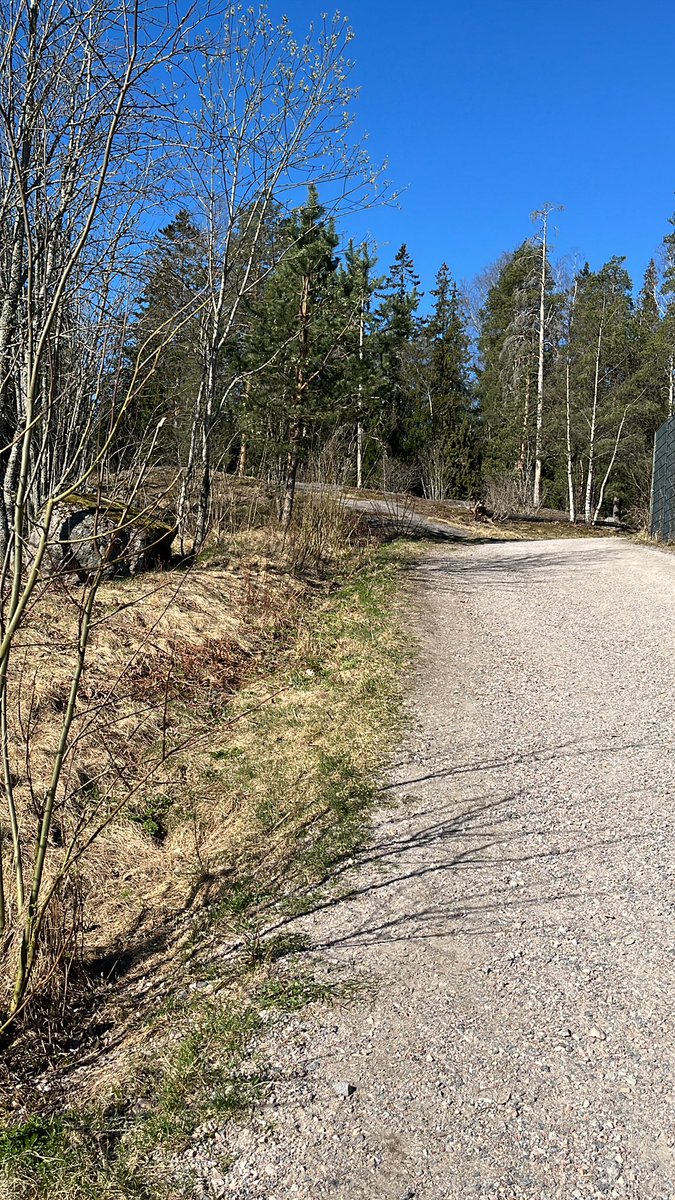 Sapezu I I Video Editor tweet media