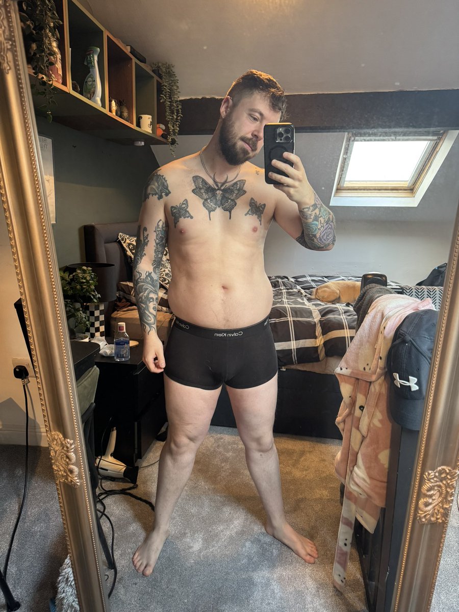 Dan tweet media