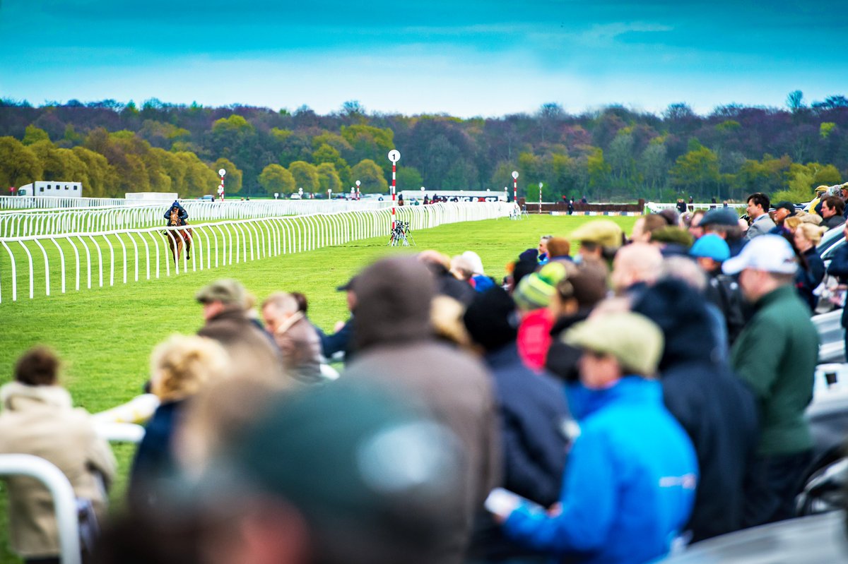 Goffs UK tweet media