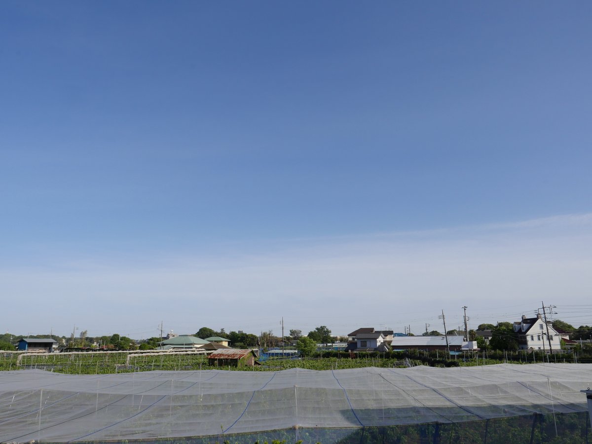 ki4188nashizou's tweet image. 今日もお疲れさまです🤗
現在我が家の気温計は２４．３℃を示しています
昨日の地震、被害はなかったでしょうか
やはり地震は怖いです。もちろん津波も・・・
今日ももう少し、良い時間をお過ごしください😊

#イマソラ
#Panasonic #GX8 #LiveMOSセンサー
#パナライカ