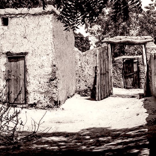 Ⓜ️ محمود tweet media